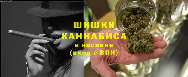 молекула духа Няндома