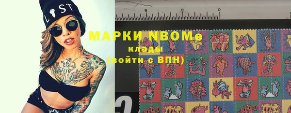 молекула духа Няндома